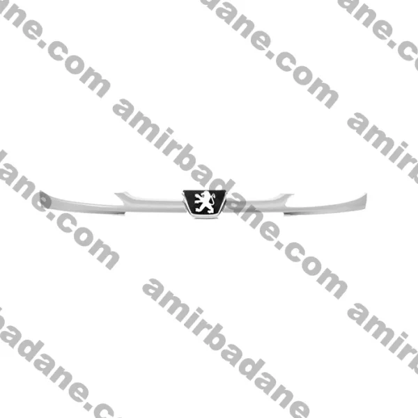 جلو پنجره 206 سفید مهرخواه